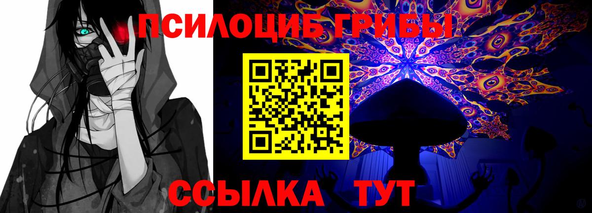 Галлюциногенные грибы GOLDEN TEACHER  Вход с VPN  Псилоцибиновые грибы Cubensis  Лесозаводск 